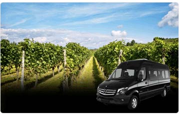 wine / private tours