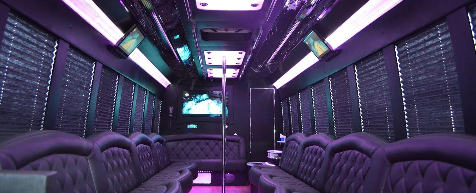 18 Passenger Party Bus Conversion Interior