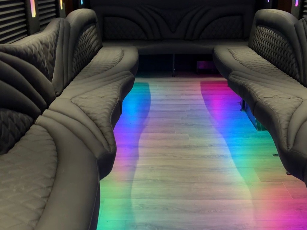 2015 E-450 30 Person Limo Bus