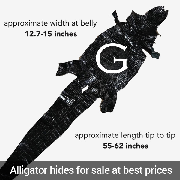 alligator hides for sale at best prices