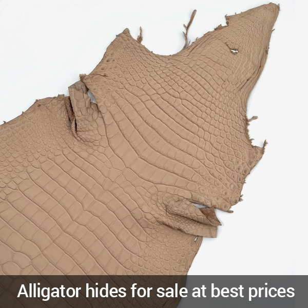 alligator hides for sale at best prices