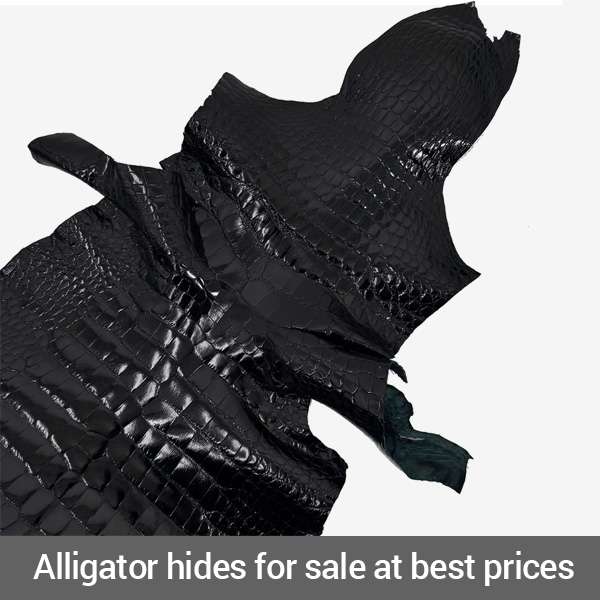 alligator hides for sale at best prices