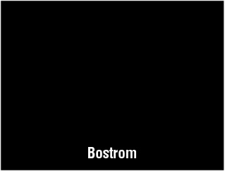 Bostrom Seat Covers & Upgrades