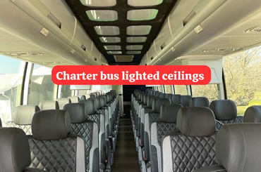 Complete Bus Restoration