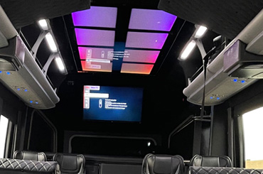 global customs bus ceilings