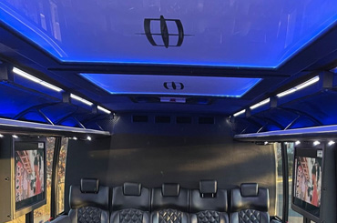 global customs bus ceilings