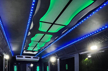 global customs bus ceilings