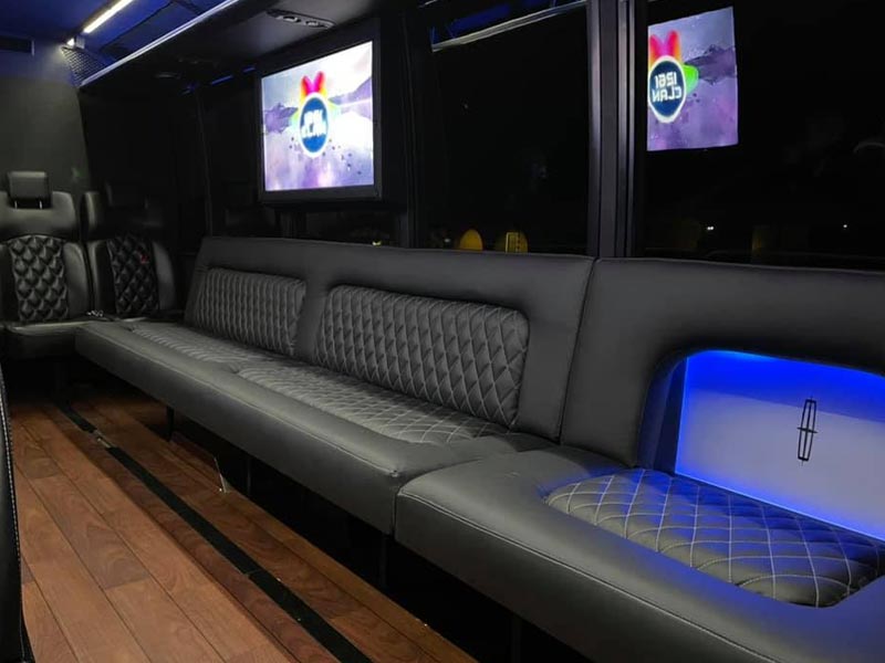 Grech 30-Passenger Party Bus Gallery4 Grech 30-Passenger Party Bus Gallery4