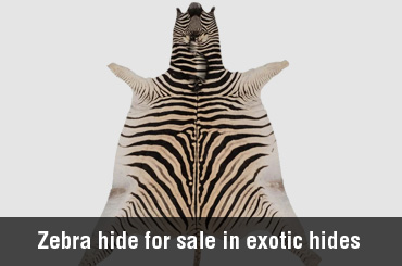 New York's unique selection of exotic animal leather hides