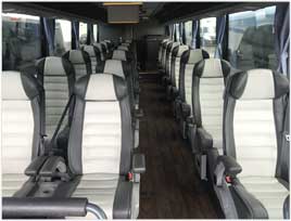 Temsa Bus Seat Covers