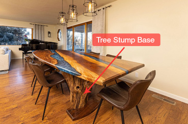 tree stump base tree stump base