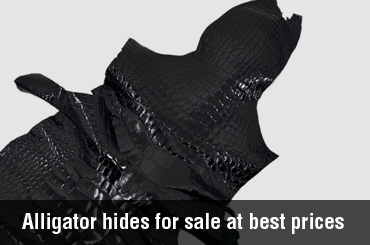 unique selection of exotic animal leather hides