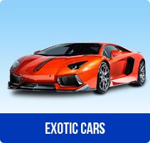 Exotic Cars