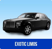 Exotic Limos & Non-Stretches