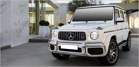 Punjabi or Bollywood Movie Rental Service