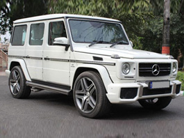 Punjabi or Bollywood Movie Rental