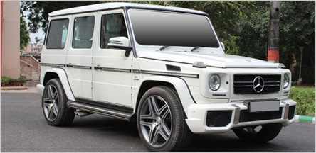 Punjabi or Bollywood Movies Rental