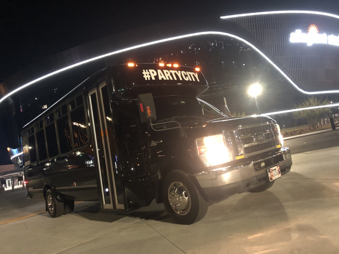 2010 Ford E-450 Limo bus by LionTrans