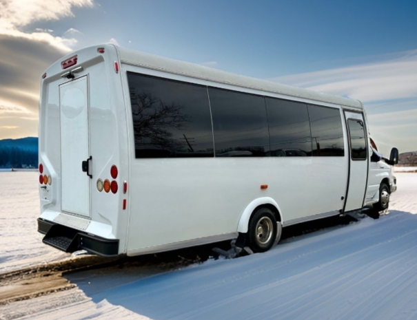 2016 Ford E-450 by Global Motor Coach