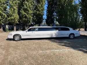 Luxury Stretch Limo 