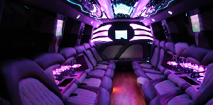 Party Bus