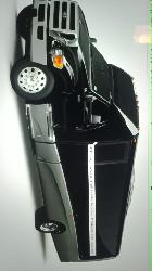 Party Bus