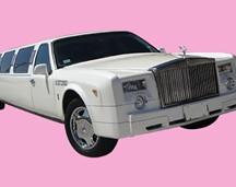 Exotic Style Limo