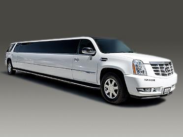 Executive Charters & Limousine