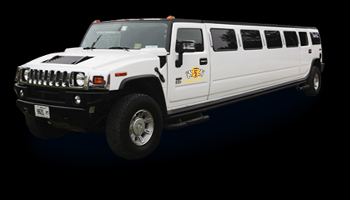 Elegant Limousine And Bus Service