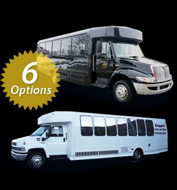 Elegant Limousine And Bus Service