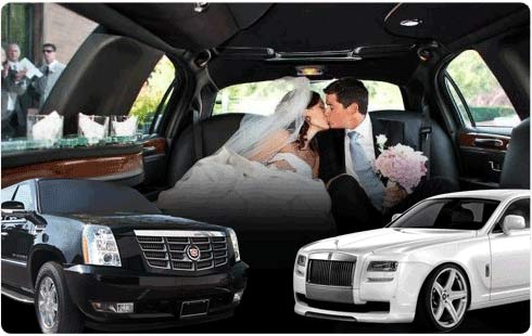 WEDDING Limousine  Rental
